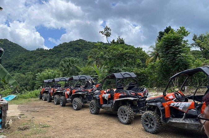 Private Rasta Safari Cultural UTV Village Experience - What $179.49 Means for Value
