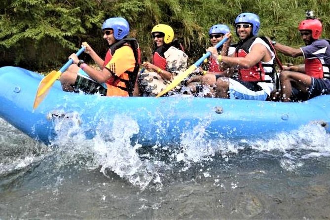 Private Rio Bueno River Adventure from Montego Bay - Jamaican food, reggae, and a quieter swim