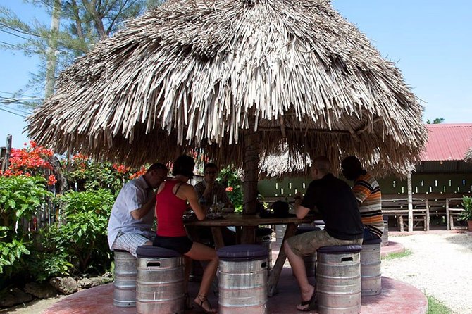 Private Round Trip Transfer for Jamaican Jerk at Scotchie's Ocho Rios - The ride from your hotel or cruise port
