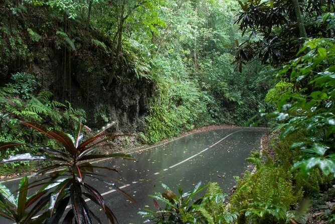 Private Sightseeing Tour in & Around Ocho Rios - Ocho Rios Bay Beach and Turtle Beach