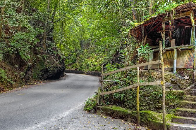 Private Sightseeing Tour in & Around Ocho Rios - A private tour that can bend to your plans