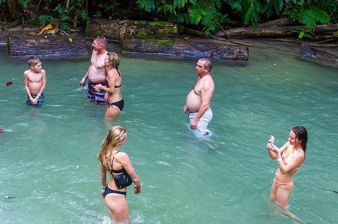 Private Tour - Dunn's River Falls and Ocho Rios Experience from Ocho Rios - A private guide can shape the whole morning