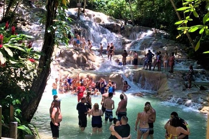 Private Tour - Dunn's River Falls and Ocho Rios Experience from Ocho Rios - Fern Gully: a short, leafy introduction