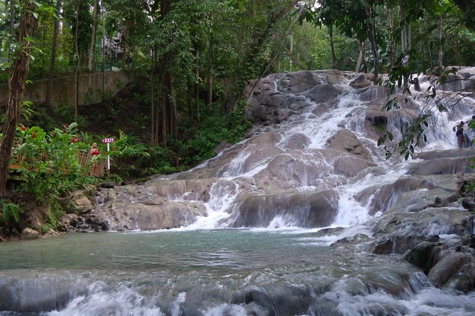 Private Tour From Ocho Rios To Dunn's River Falls - Private touring versus a large group outing