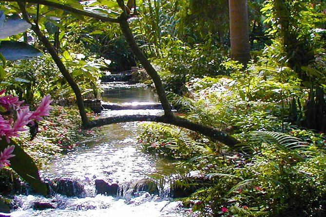 Private Tour From Ocho Rios To Konoko Falls And Garden and Shopping - Five useful things to know before you go