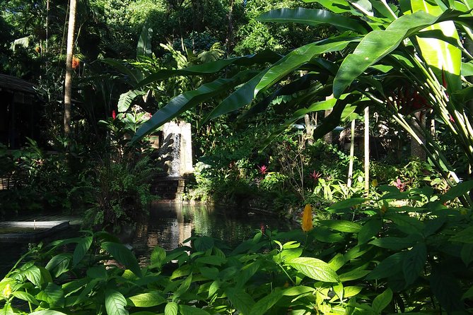 Private Tour From Ocho Rios To Konoko Falls And Garden and Shopping - Lunch is flexible, but not included