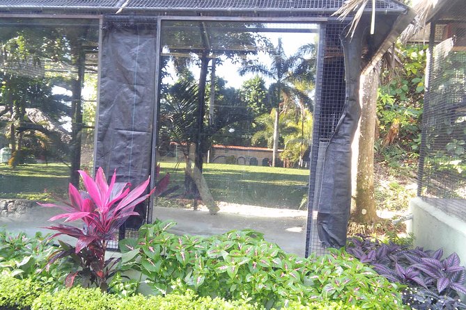 Private Tour From Ocho Rios To Konoko Falls And Garden and Shopping - A short schedule with useful flexibility