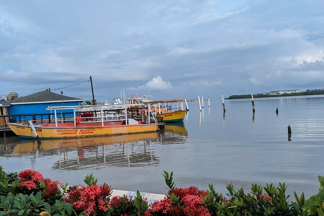 Private Tour in the Glistening Waters from Montego Bay - What the private format is worth at $59.99