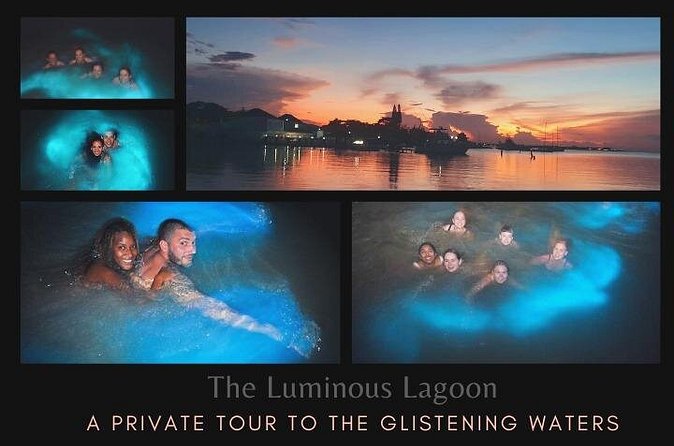 Private Tour in the Glistening Waters from Montego Bay - Practical details that make the night easier