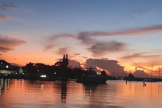 Private Tour in the Glistening Waters from Montego Bay - How this compares with a typical night out