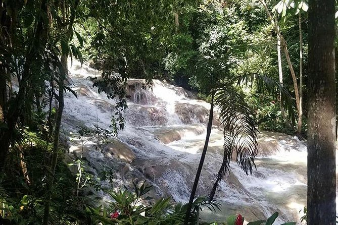 Private Tour Montego Bay To Blue Hole and Dunns River falls - Who will enjoy this day most?