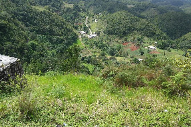 Private Tour Ocho Rios or Runaway Bay To 9 Mile Bob Marley Birth & Resting Place - What Happens Inside the Nine Mile Site