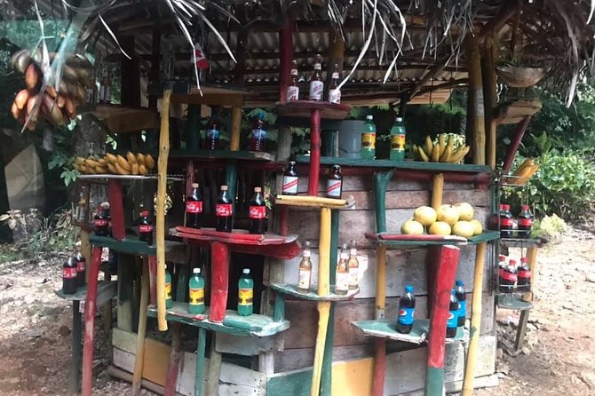 Private Tour of Bob Marley House from Ocho Rios - Booking details worth keeping in mind