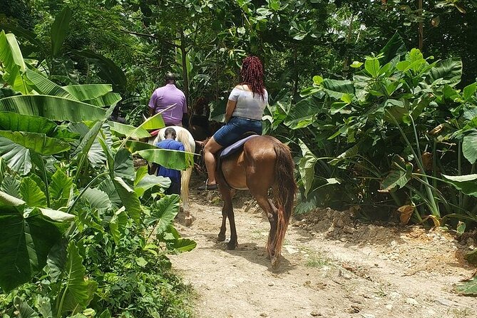 Private Tour to Dunns River and Horseback Riding with Local Guide - Leaving Montego Bay in a Private Vehicle
