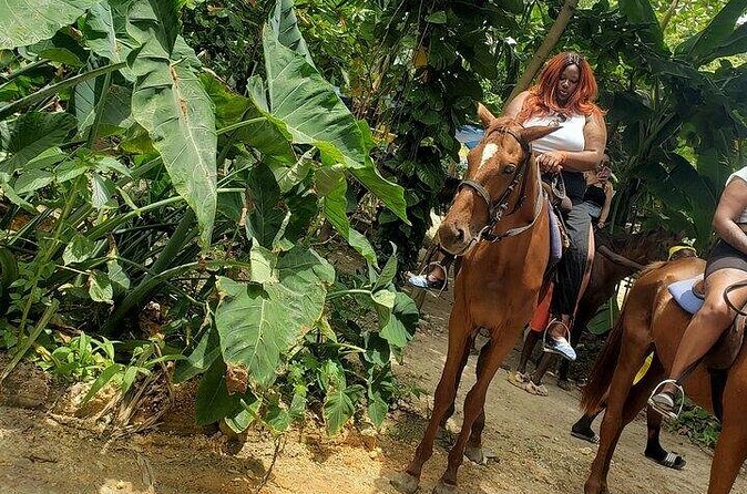 Private Tour to Dunns River and Horseback Riding with Local Guide - What Green and Carado Add to the Day