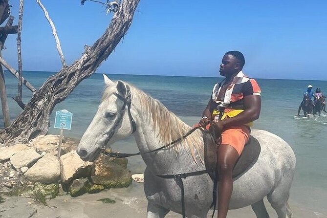 Private Tour to Dunns River and Horseback Riding with Local Guide - Who Will Enjoy This Experience Most?