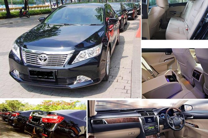 Private Transfer Montego Bay to Ocho Rios - Booking details that can affect your decision