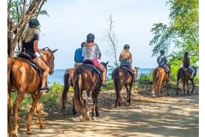 Private Transport and Airport Transfer in Montego Bay - Meeting Your Driver Outside Montego Bay Airport