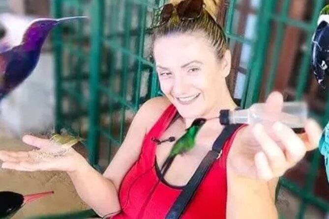 Private Transport and Airport Transfer in Montego Bay - What $40 Per Person Really Buys