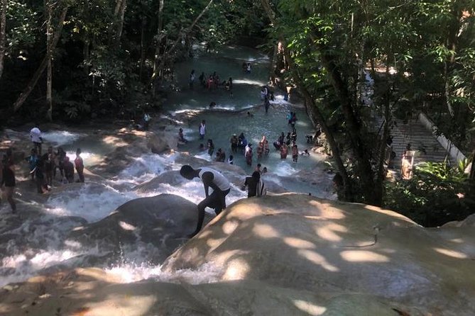Private Transportation from Montego Bay to Mystic Mountain and Dunn's River Fall - Mystic Mountain: rides, views, and nature
