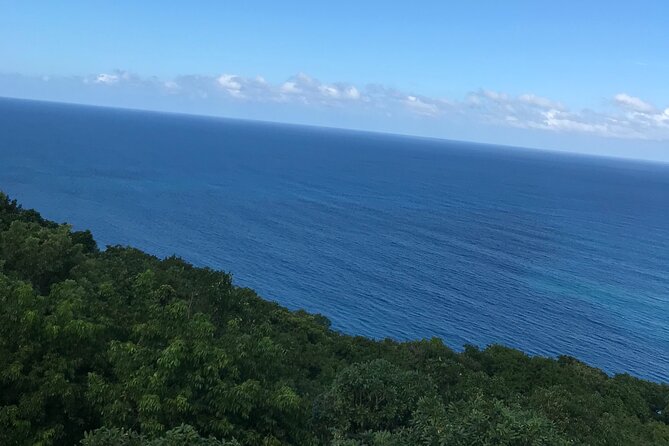 Private Transportation from Montego Bay to Mystic Mountain and Dunn's River Fall - How to fit two attractions into one outing