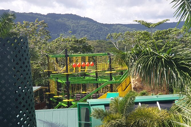 Private Transportation from Montego Bay to Mystic Mountain and Dunn's River Fall - The ride from Montego Bay