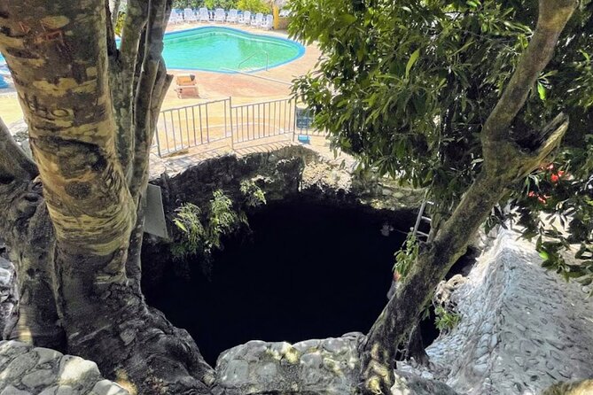 Private Trip to Blue Hole Mineral Springs, Negril & Ricks Café - Why the private vehicle makes a difference