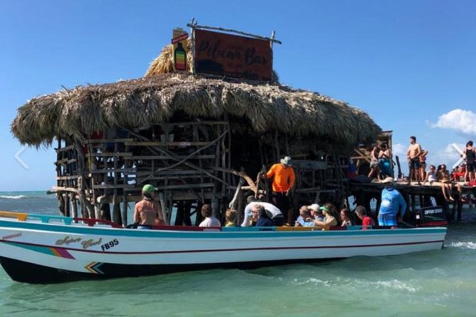 [PRIVATE] YS Falls, Black River, Pelican Bar - Entrance & Lunch - Black River: a quiet boat safari with crocodiles