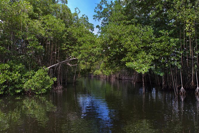 [PRIVATE] YS Falls, Black River, Pelican Bar - Entrance & Lunch - Lunch, drinks, and the local flavor