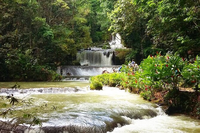 [PRIVATE] YS Falls, Black River, Pelican Bar - Entrance & Lunch - The guides are a major part of the value