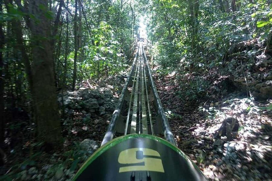 Rainforest Bobsled Mystic Mountain transportation - The ride itself: 700 feet of height and 3,200 feet of track
