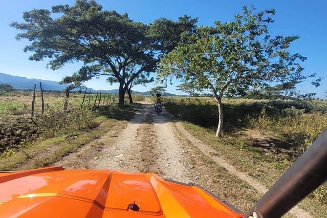 Rasta Safari Atv Experience and Rick's Cafe Private Tour - Who should book this outing