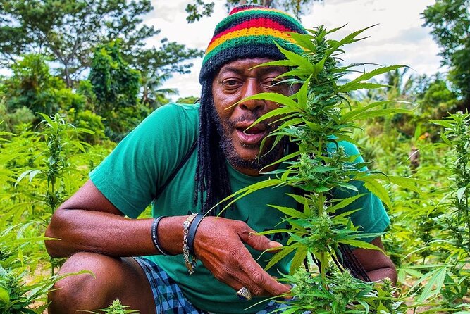 Rastafari Cultural ATV Community Experience from Montego Bay - Key points before you book