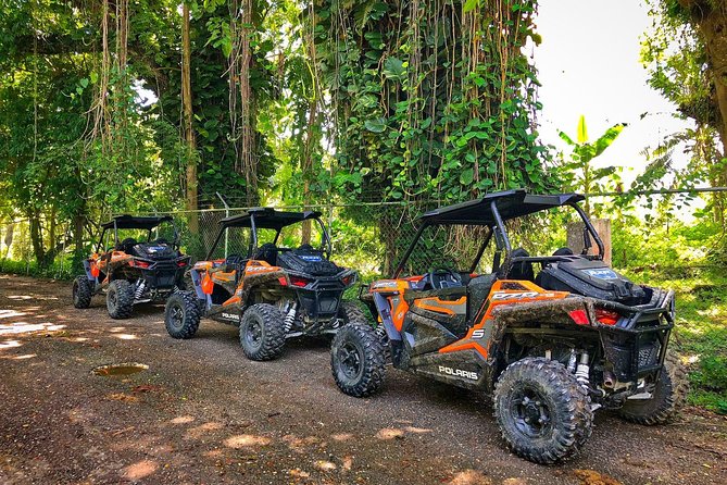 Rastafari Cultural ATV Community Experience from Montego Bay - Coffee, fruit juice, and a warm village welcome
