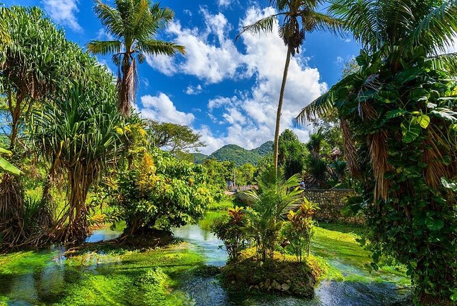 Rastafari Cultural ATV Community Experience from Montego Bay - Learning about a working ganja farm