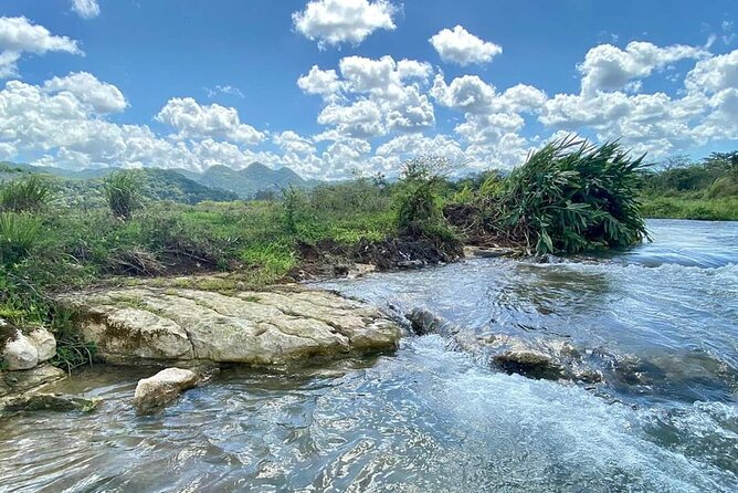Rastafari Cultural ATV Community Experience from Montego Bay - Fresh fruit straight from the trees