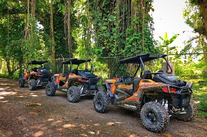 Rastafari Cultural ATV Community Experience from Negril - The natural mineral pool stop