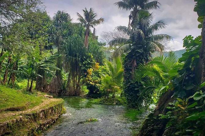 Rastafari Cultural ATV Community Experience from Negril - How much value do you get for $164.59?