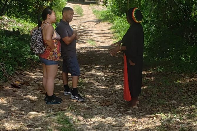 Rastafari Indigenous Village Tour - Who will get the most from this six-hour visit