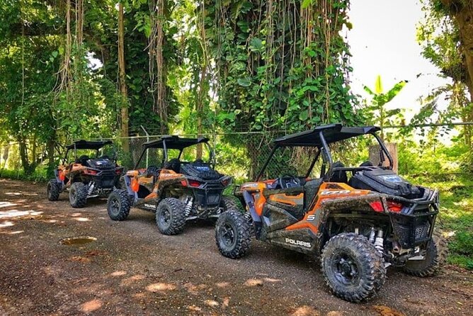 Rastasafari Experience ATV Adventure and Local Day Out - Why This Montego Bay Excursion Feels Different