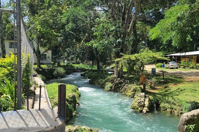 Rastasafari Experience ATV Adventure and Local Day Out - Riding an ATV Through the Jamaican Countryside