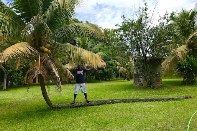 Rastasafari Experience ATV Adventure and Local Day Out - Fruit, Sugarcane, Food, and Music
