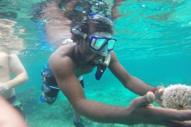 Rick's Cafe Sunset Cruise and Snorkelling - Who should book this afternoon on the water