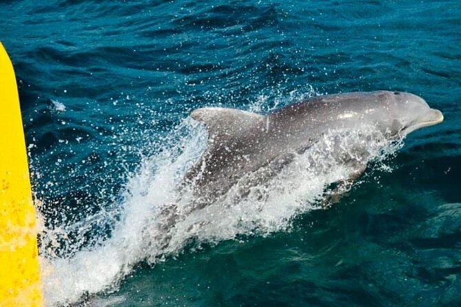 Ricks Cafe Cruise Snorkeling Open Bar DJ OCEAN EDEN BAY/CORAL - What this Negril catamaran cruise is really about