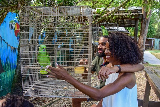 Rockland Bird Sanctuary plus Montego Bay Highlights & Shopping Private Tour - Four details that make this outing special