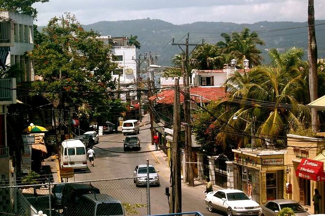 Rockland Bird Sanctuary plus Montego Bay Highlights & Shopping Private Tour - What to expect after the sanctuary