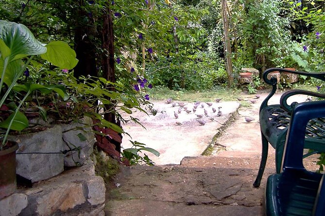 Rockland Bird Sanctuary plus Montego Bay Highlights & Shopping Private Tour - Is $123 a fair price?