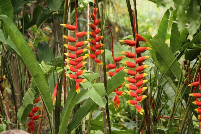 Rockland Bird Sanctuary plus Montego Bay Highlights & Shopping Private Tour - Who will enjoy this tour most?