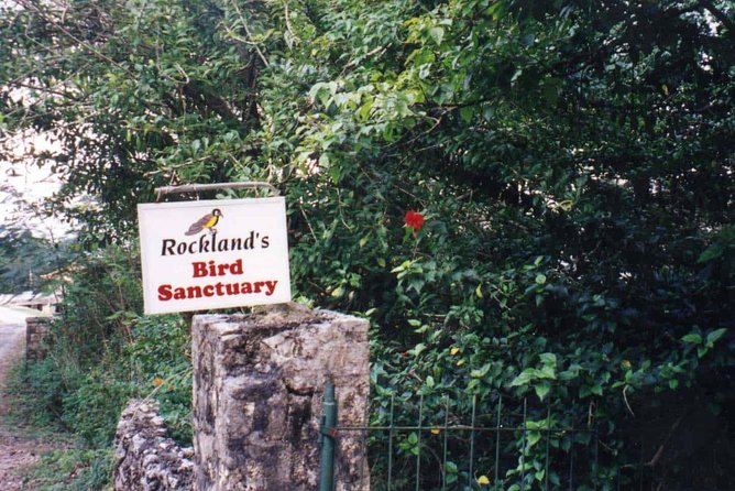 Rockland Bird Sanctuary Private Tour - Why Rocklands works for a short Montego Bay outing
