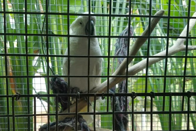 Rockland Bird Sanctuary Private Tour - What the two-hour sanctuary visit feels like